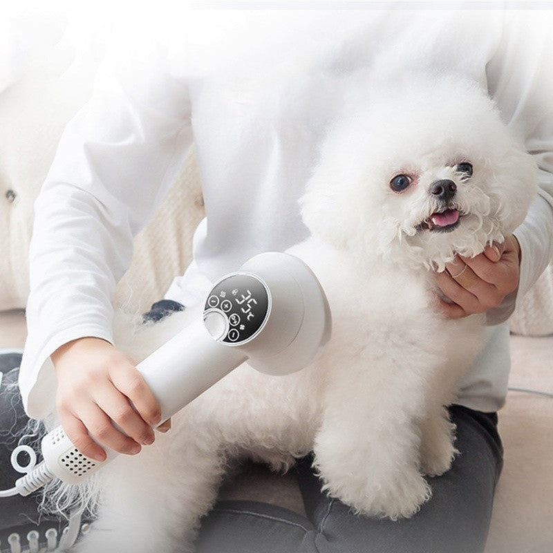 Silent Pet Dryer and Comb – Gentle Blow Dryer for Golden Retrievers & Cats
