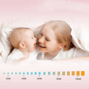 gid://shopify/MediaImage/33701387600112